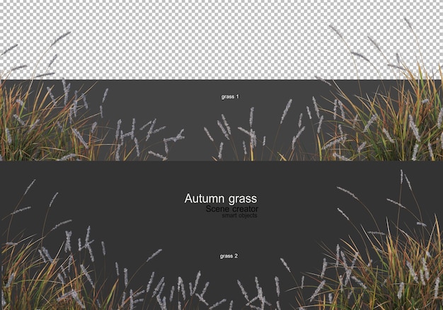 PSD dry grass garden in autumn