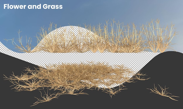 PSD dry grass isolated dry grass field