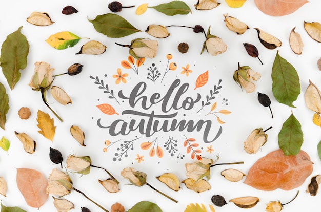 dry leaves and flowers surrounding hello autumn