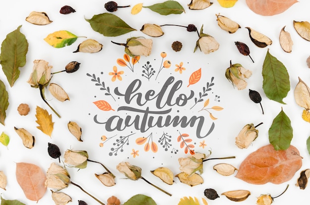 PSD dry leaves and flowers surrounding hello autumn