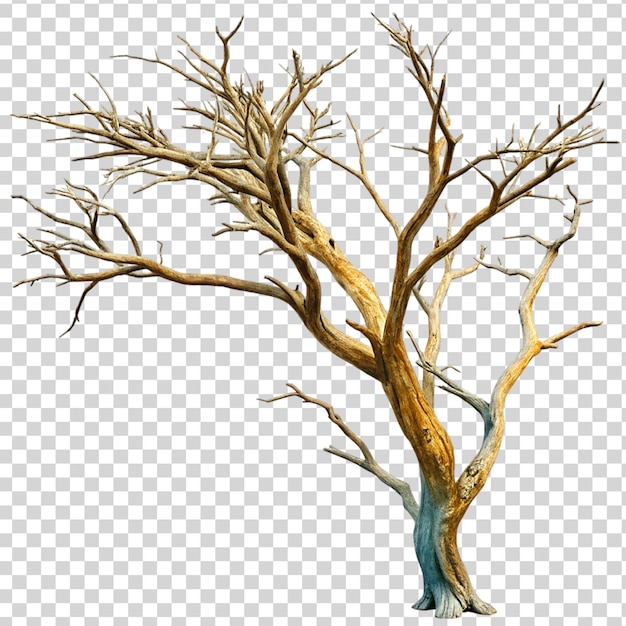 PSD dry tree branch isolated on transparent background