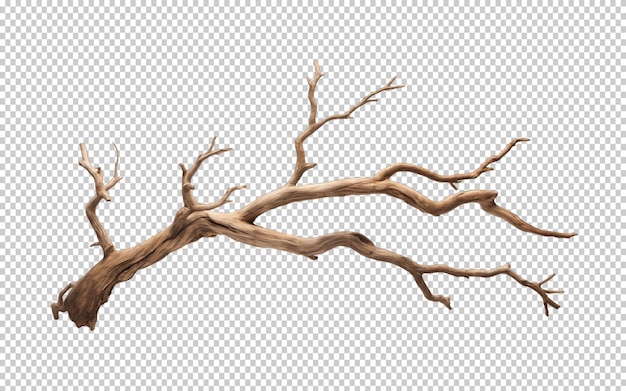 PSD dry tree branch isolated on transparent background