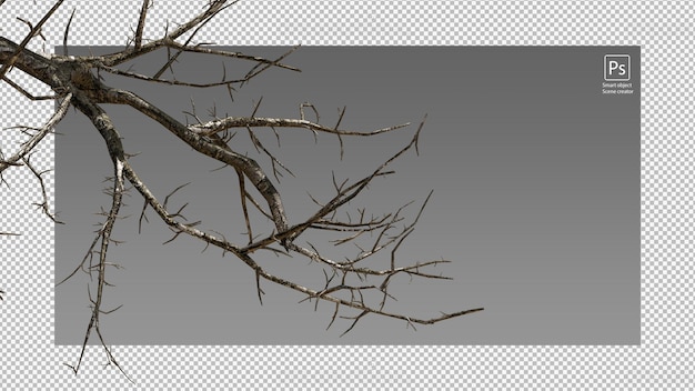 PSD dry tree branches dry tree isolated