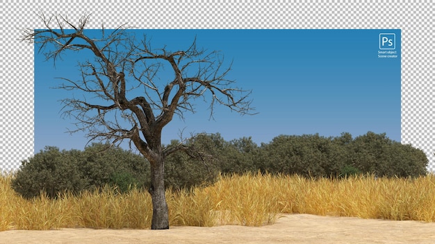 PSD dry tree and grass on field arid landscape