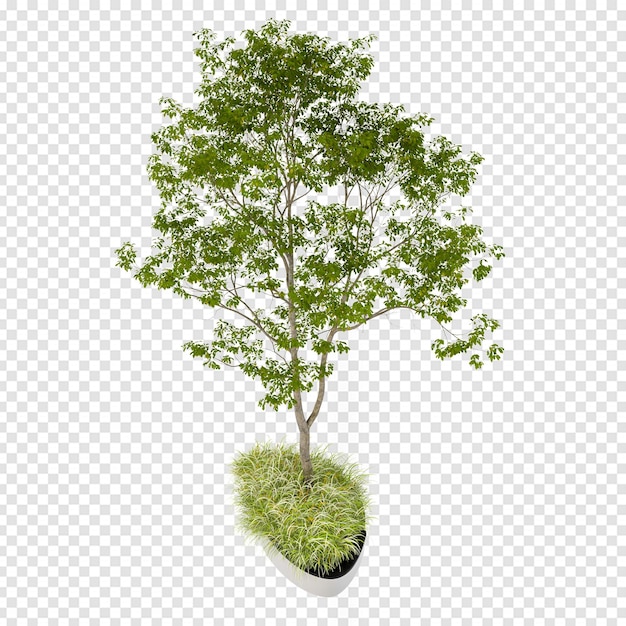 Drzewo izometryczne w renderowaniu 3d