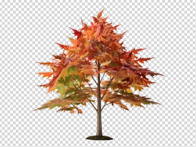 PSD drzewo png