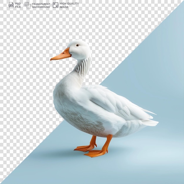 PSD duck alone on a transparent background