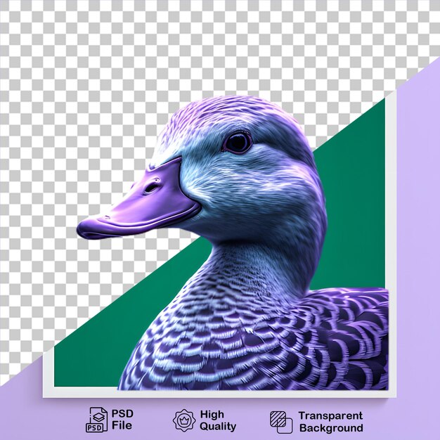PSD duck in front isolated on transparent background png file