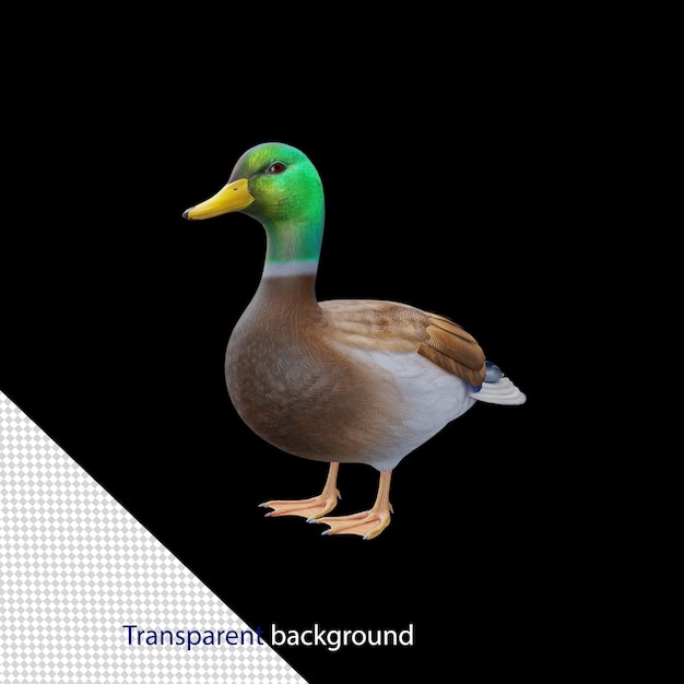 PSD duck high quality 3d render
