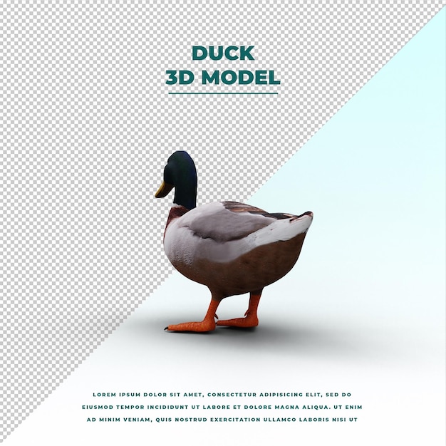 PSD duck isolated