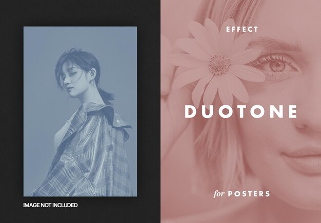 Duotone photo effect for posters