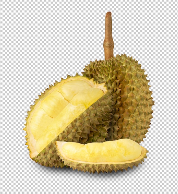 Durian cutout full depth of field
