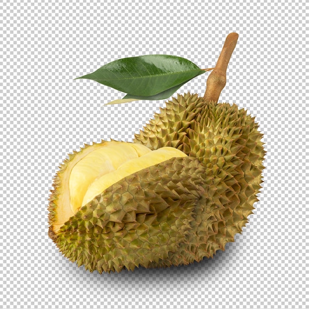 Durian cutout volledige diepte van het veld