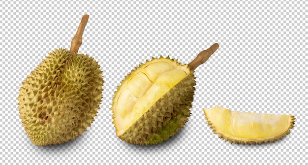 Durian cutout volledige diepte van het veld