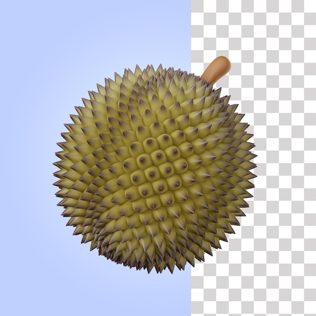 Durian fruit 3d Illustration