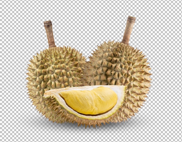 Durian geïsoleerd op alfalaag