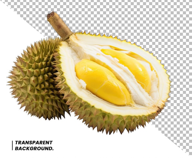 durian Isolated