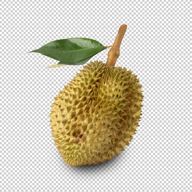 Durian udskåret med fuld dybdeskarphed