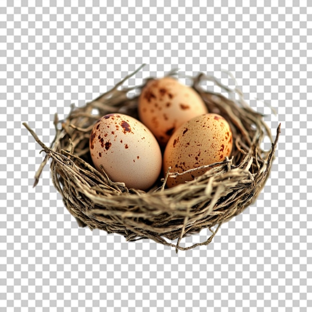 Dziecięce rzemiosła na temat Wielkanocy png