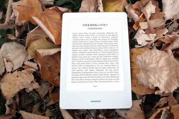 E-Book Reader Mock-Up, Autumn Leaves, Outdoor, Colorful Background