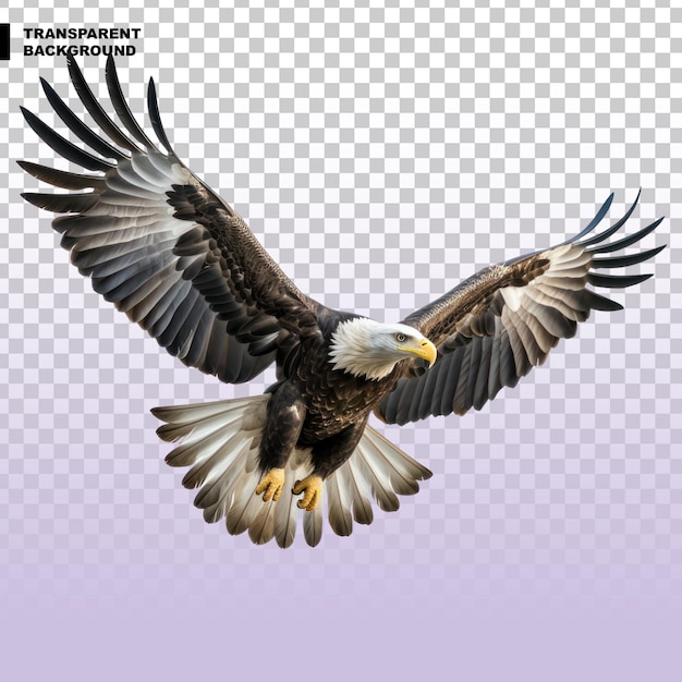 PSD eagle flaying isolated on transparent background