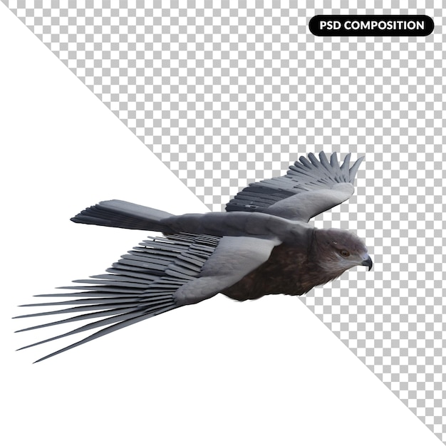 Eagle fly geïsoleerde 3d-weergave