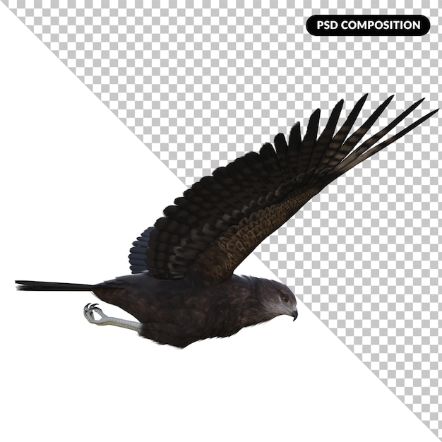 PSD eagle fly isolated 3d rendering