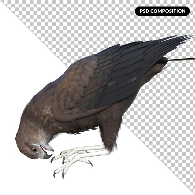 PSD eagle fly isolated 3d rendering