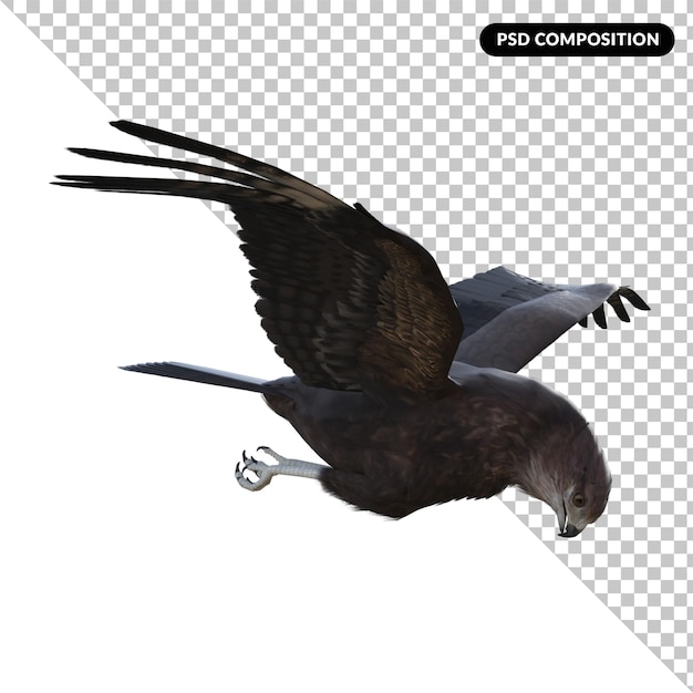 PSD eagle fly isolated 3d rendering