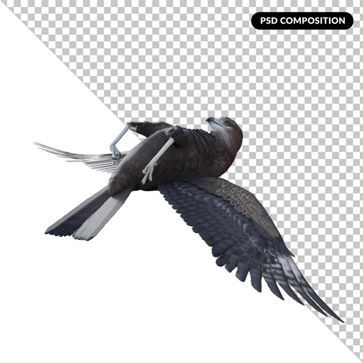PSD изолированная 3d-рендеринг орлиной мухи