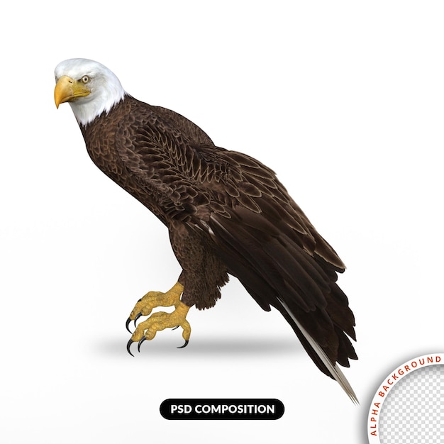 Eagle flying 3d render