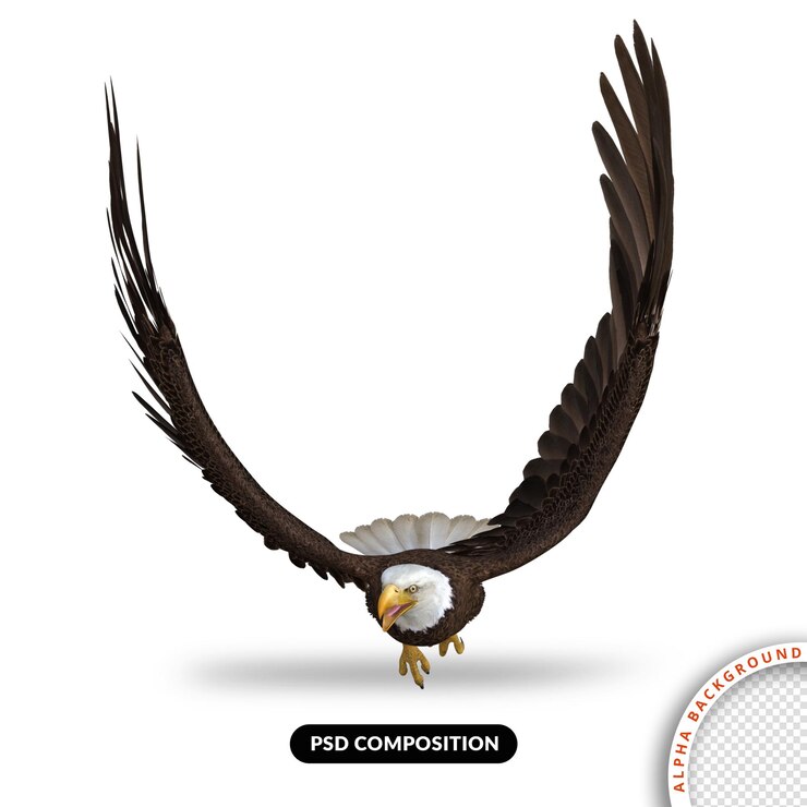 PSD eagle flying 3d render