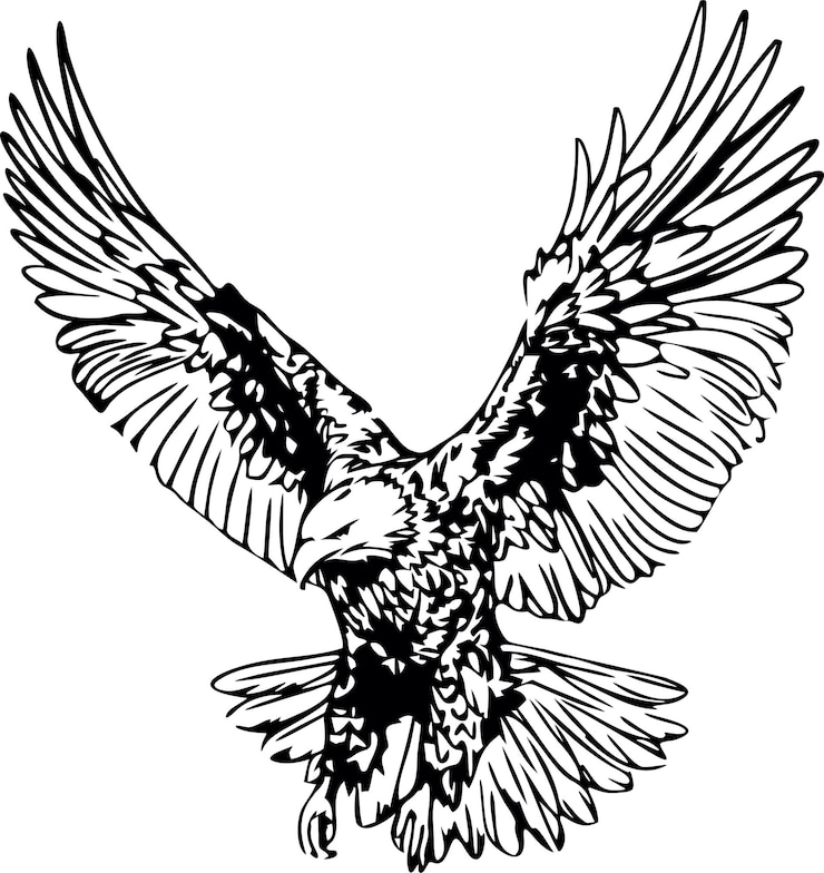 PSD eagle with spread wings illustration