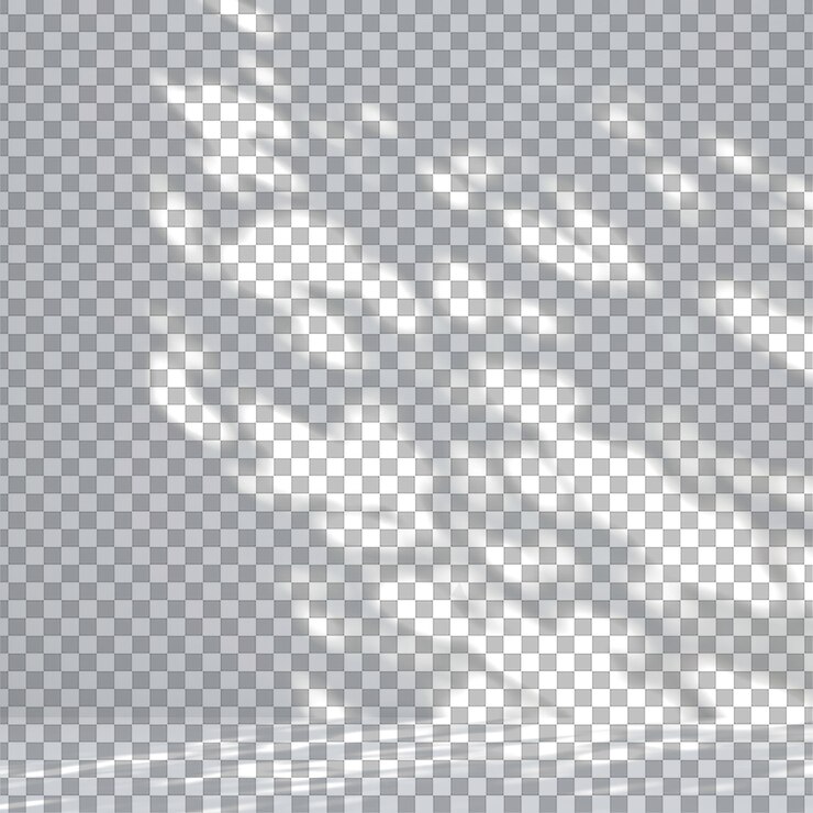 PSD 사진 편집 및 디자인을위한 투명한 배경에 어있는 리스틱 윈도우 빛 그림자 오버레이 png