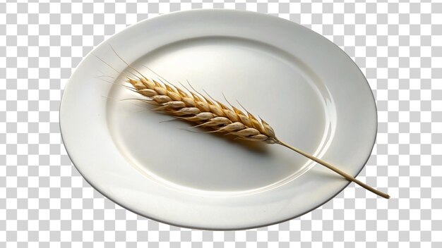 PSD ear of wheat and wheat grain in a plate isolated on transparent background