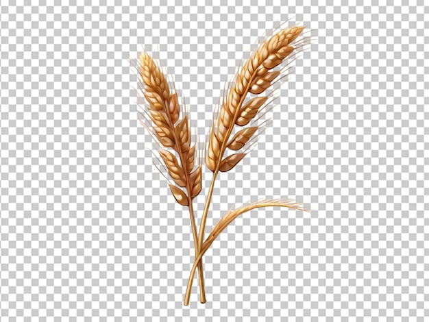 PSD an ear of wheat isolated on transparent or white background png