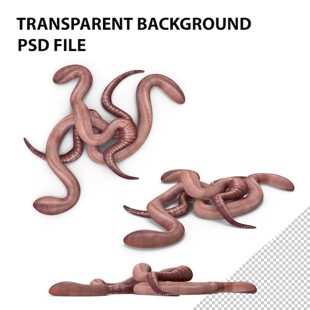 PSD earthworms png