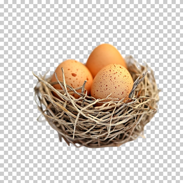 Easter themed children crafts png