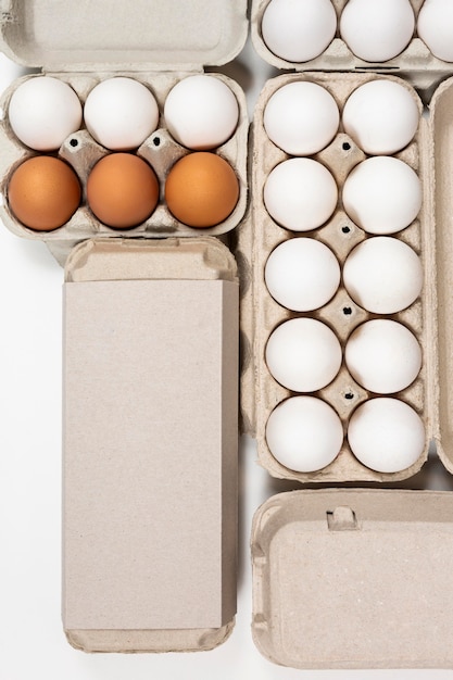 Ecologic eggs packaging mockup