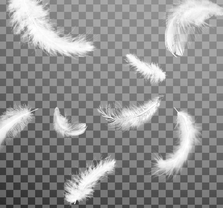 ecological feather filler for pillows blankets or jackets