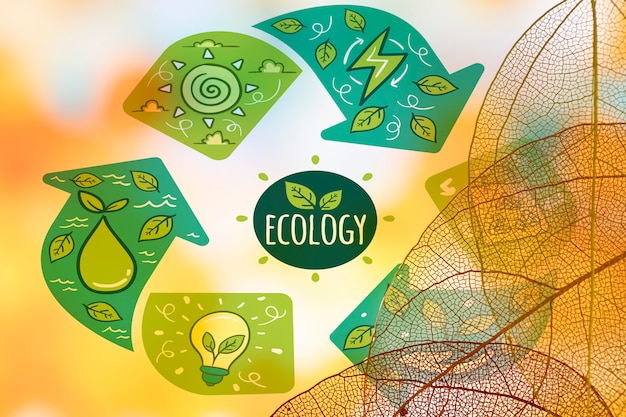 Logo ecologico con foglie traslucide