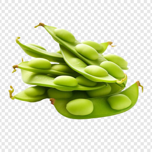 PSD edamame isolated on transparent background