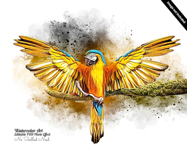 PSD editable bird watercolor photo effect