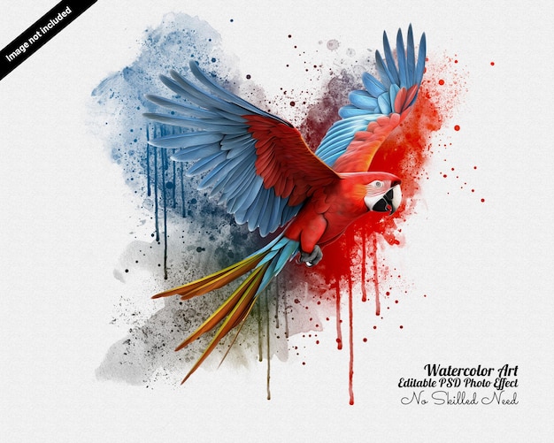 PSD editable bird watercolor photo effect