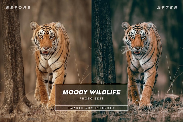 Instagram 게시물을 위한 편집 가능한 Moody Wildlife 사진 편집