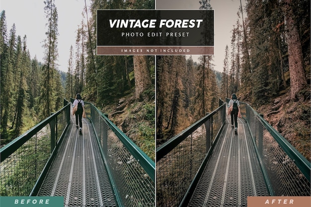 PSD edytowalne ustawienia filtra zdjęć na instagramie dla fotografii krajobrazu leśnego