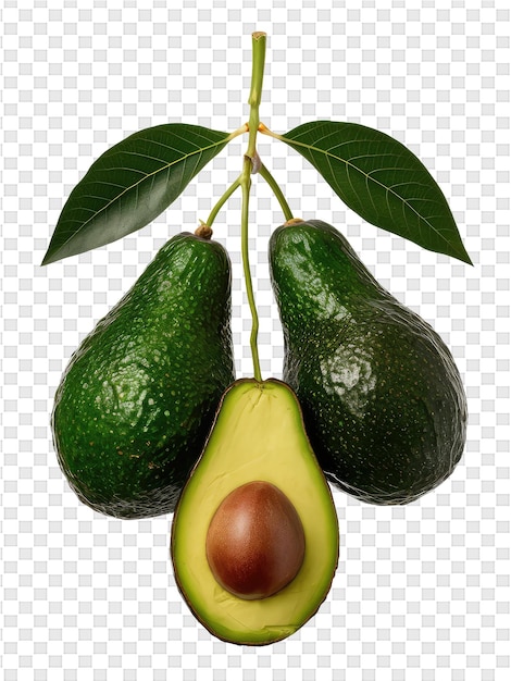 PSD een afbeelding van avocado's en avocados op een witte achtergrond