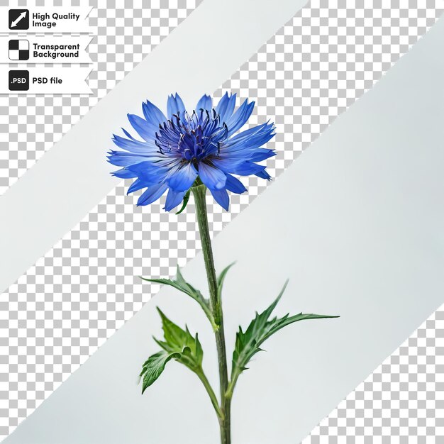 PSD een blauwe bloem wordt getoond met een foto van een bloem erop