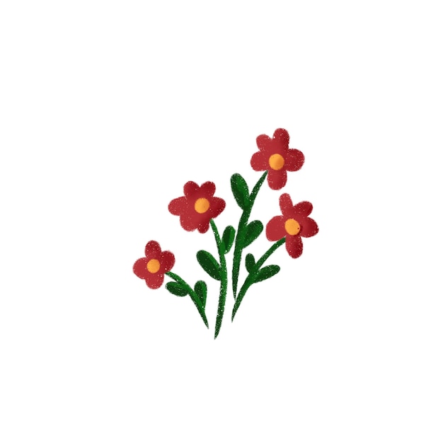 Een bloem op een witte achtergrond