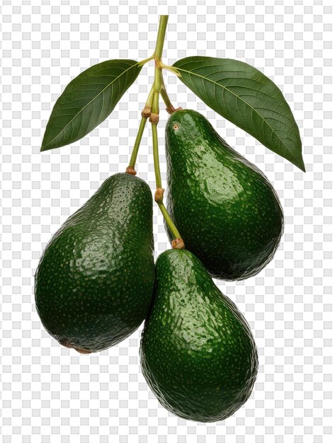 PSD een bos groene avocado's op een doorzichtige achtergrond